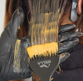Step 2 apply colour touch mixture to hair